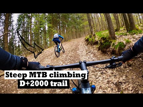 Video: Mountainbiken Kalifornien Weinland - Matador Network