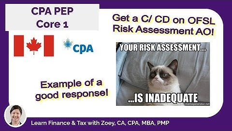 CPA PEP - Core 1 - Audit planning memo - OFSL Risk Assessment