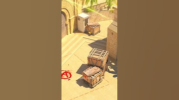 MOLLY TO DENY THE PLANT #shorts #cs2