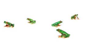 TELUS | \\