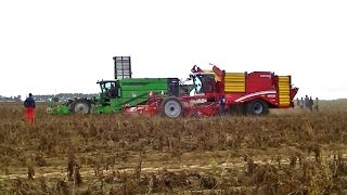 POTATOEUROPE 2016 : Petite course AVR - GRIMME...