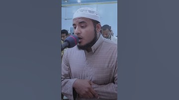 من صلاة التراويح || القارئ سعيد المزروعي