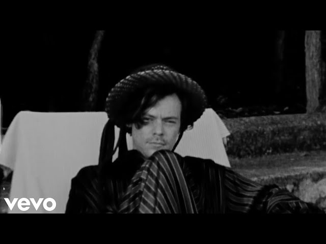 Harry Styles - Matilda (Music Video) class=