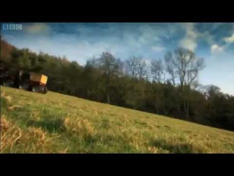 Fenton (THE MOBILITY SCOOTER) Top Gear
