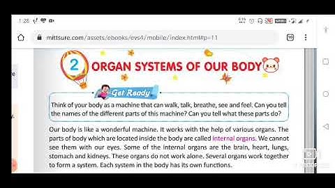 Class 4 Evs lesson 2 part 2