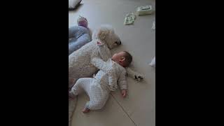 Baby Embraced by a Loving Dog as They Lay on the Ground