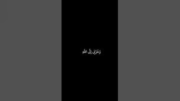 سعد الغامدي || شاشه سوداء قران || قل إنما أشكو بثي وحزنى إلى الله|| سورة يوسف