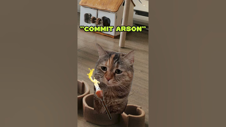A Stands For Arson 😳 (CAT MEMES🐈) @NutshellAnimations #shorts