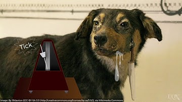 UQx PSYC1030.3x 1-2-3 Classical conditioning