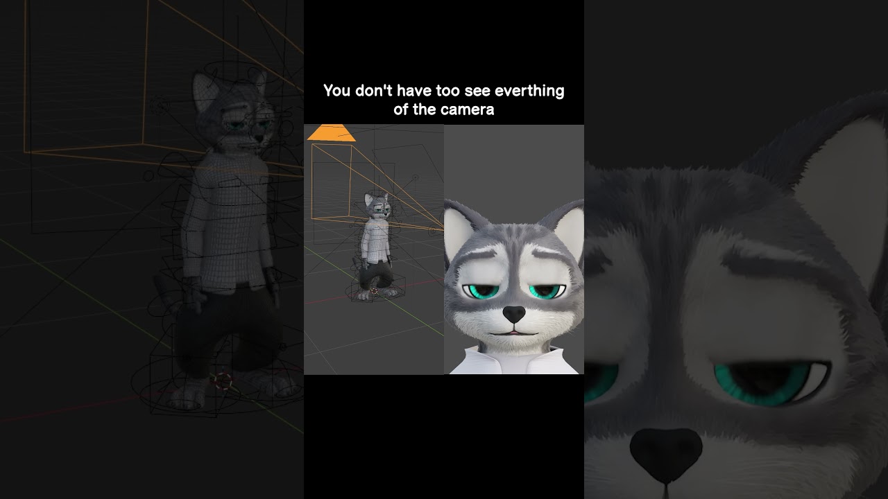 You don't have too see everything of the camera