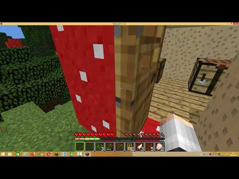 Minecraft Survival #1