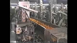 Atlas Pacific:Εκπυρηνωτικό μηχάνημα ροδακίνων