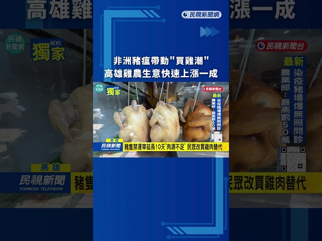 非洲豬瘟帶動"買雞潮" 高雄雞農生意快速上漲一成｜民視新聞｜
