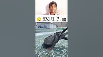 #tutorialfilter #viewsproblem