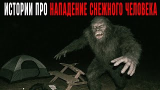 видео: СТРАШНЫЕ  Истории, ПРО НАПАДЕНИЕ СНЕЖНОГО ЧЕЛОВЕКА | Под ШУМ ЛЕСА  | Расслабьтесь, и БЫСТРО УСНИТЕ картинка: СТРАШНЫЕ  Истории, ПРО НАПАДЕНИЕ СНЕЖНОГО ЧЕЛОВЕКА | Под ШУМ ЛЕСА  | Расслабьтесь, и БЫСТРО УСНИТЕ