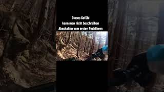 Abschalten #freiheitlichen #naturliebe #waldliebe #bikelove #cube #endurobike #singletrail