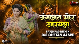 Junglan Mor Aaravla - East Indian Song | Banjo Pad Mix - DJs CheTaN AasRe