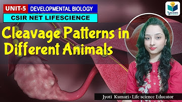 CLEAVAGE  PATTERN IN ANIMLAS |CSIR NET| DEVELOPMENT BIOLOGY