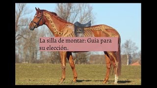 De sinonimo silla caballo