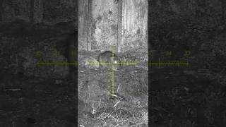 FARMYARD RAT CONTROL 🎯🐀 #nightvision #airrifleshooting #pestcontrol #weihrauch
