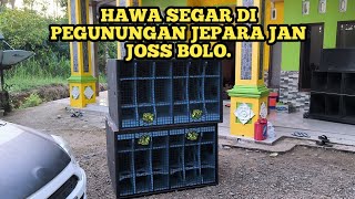 BOX BRELAP TERNYATA SEPERTI INI KONDINYA SETELAH DI PATAI DANGDUTAN DI PATI..