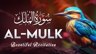 Surah Mulk | سورۃالملک | Recitation with full Arabic | Ep : 67009900