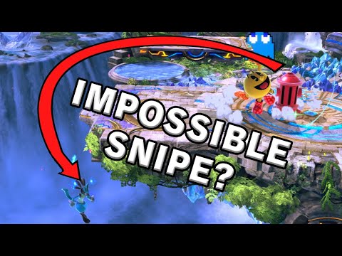 snipe