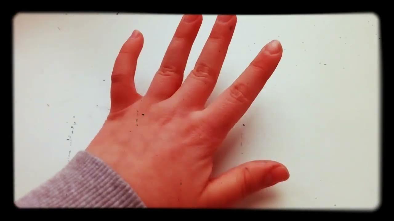 дом для уточки лалафан фан - YouTube