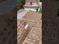 100% Calidad Asphalt Roof 💪💪 #construction #roofconstruction #roofingmaterial #esfuerzo #goodjob