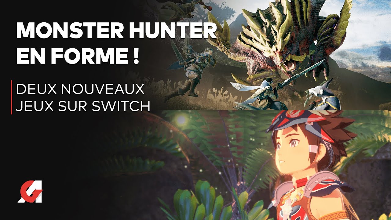 Jeux Switch Hunter X Hunter