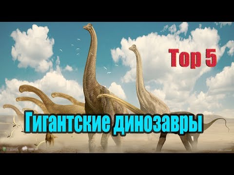 САМЫЕ БОЛЬШИЕ ДИНОЗАВРЫ ТОР 5