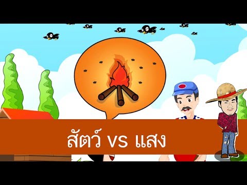 การตอบสนองต่อสิ่งเร้าของสัตว์ ตอน แสง - สื่อการเรียนการสอน วิทยาศาสตร์ ป.4