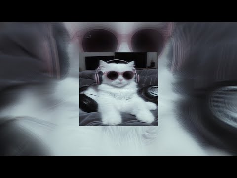 Leje Melisa Speed Up