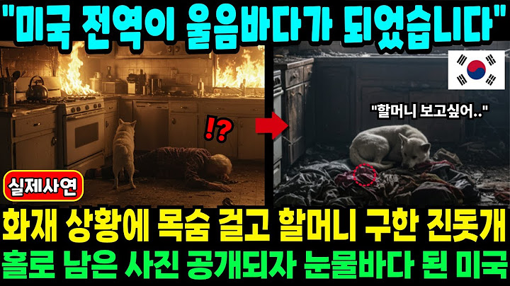 [해외사연] 미국 화재 상황에 목숨 걸고 할머니 구한 진돗개, 스스로 희생하고 홀로 남은 사진 공개되자 눈물바다가 된 이유