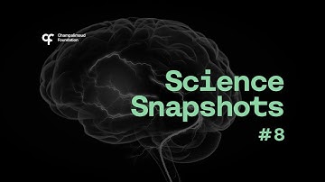 Science Snapshot: Fighting Depression with Magnetic Stimulation