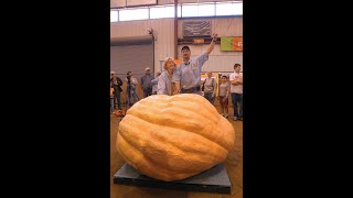The Secrets of Growing Champion Giant Pumpkins