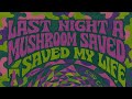 Last night a mushroom saved my life