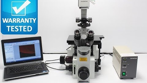 Olympus IX70 Inverted Fluorescence Microscope [BOSTONIND] - 32236