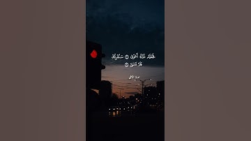 القارئ رعد الكردي #quran