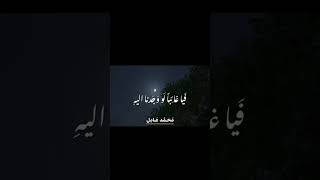 يغيب إذا غبت عني السرور(بهاء الدين زهير)     #explore #اكسبلور #نشيد #بدون_موسيقى #nasheed #شعر