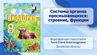 Тип Хордовые. Тема 34. Системы органов пресмыкающихся: строение и функции