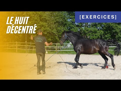 [ Exercices ] - Le huit décentré