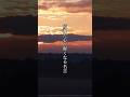 「疲れた心が軽くなる名言」 #名言 #言葉 #心に響く言葉