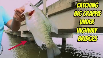 CATCHING BIG CRAPPIE UNDER HIGHWAY BRIDGES- How to find them