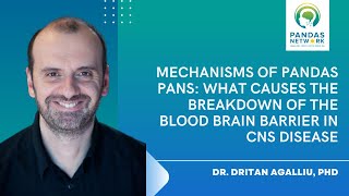 Mechanisms of PANDAS PANS: What Causes the Breakdown of the Blood Brain Barrier In CNS Disease