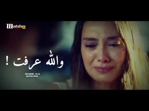 نور الزين لمن انكلبت خلقته
