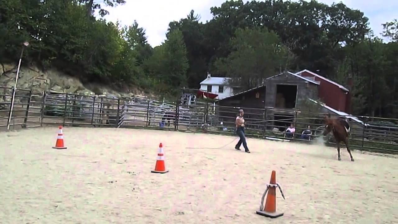 Cinchy horse bucking bronco Arab 2 YouTube
