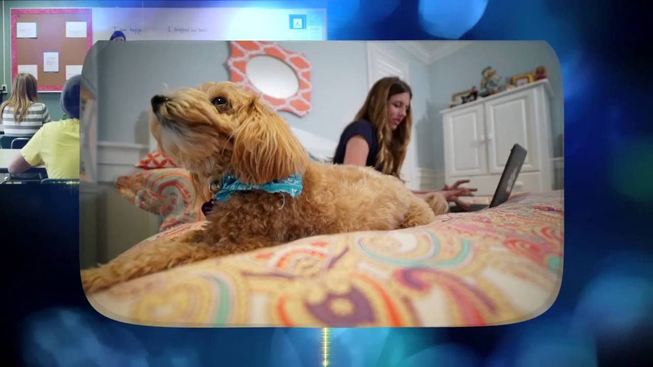 book fairs scholastic ewallet In Case You Missed It by Sarah Darer Littman