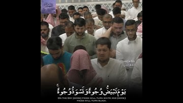 | تلاوات القطامي | " يوم تبيض وجوه وتسود وجوه " - سورة آل عمران - القارئ الشيخ د. ناصر القطامي