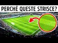 Perché I Campi Da Calcio Sono A Strisce + 15 Altre Curiosità Sul Calcio